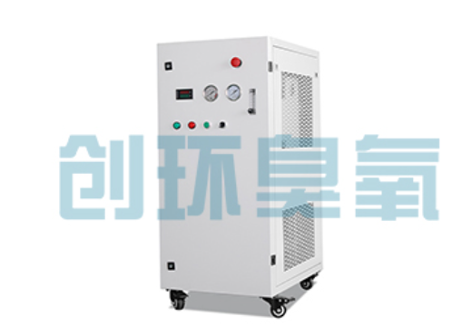 高阳石斑鱼养殖水质调控完整指南:臭氧发生器配置与操作步骤