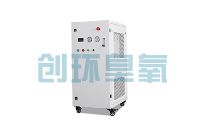 高阳比传统换水更高效?臭氧发生器在石斑鱼养殖中的水质净化原理解析