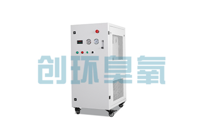 高阳比传统换水更高效？臭氧发生器在石斑鱼养殖中的水质净化原理解析